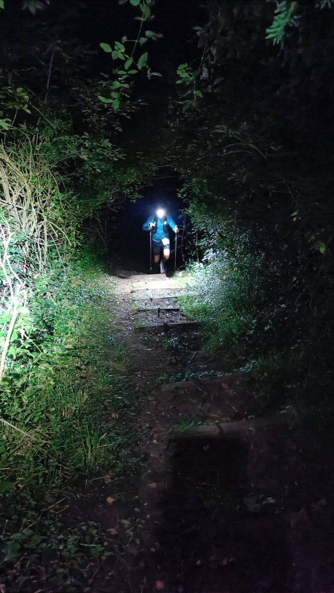 Will Taylor tweet media