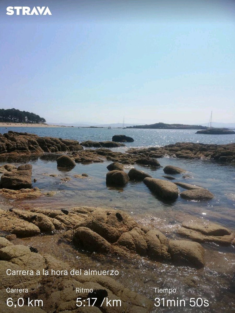 neumaticosjorge's tweet image. #KMSxELA
#retrodavet
@ReyLoborebelion strava.app.link/oKFjIijPMLb