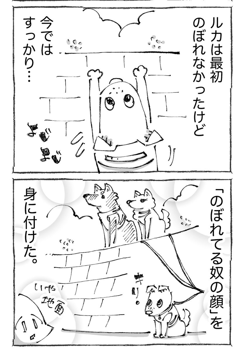 【2/3】 