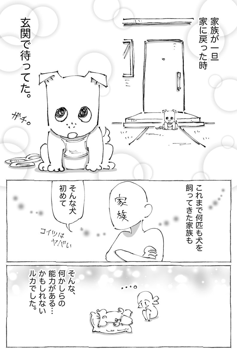 【3/3】 