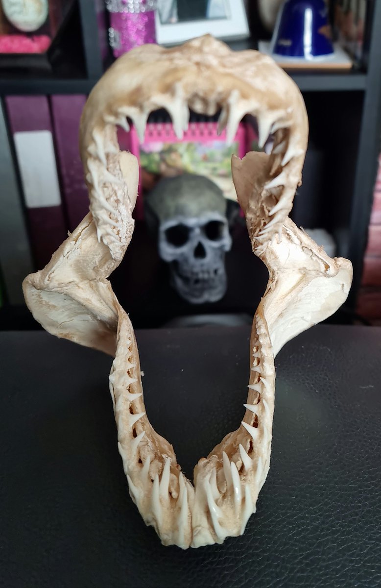 KnowlesStuff tweet media