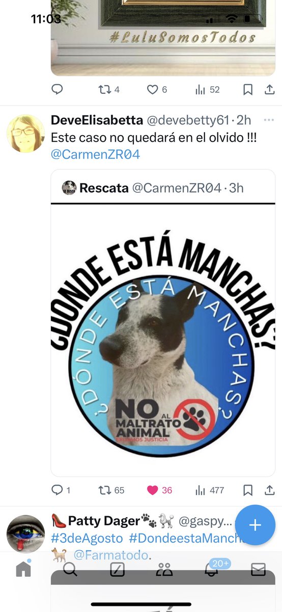 Rescata (@carmenzr04) on Twitter photo 