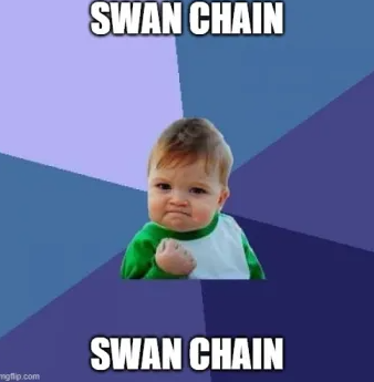 Patrick_Je42's tweet photo. SWAN best of the best ! meme ) https://t.co/YTPknjOYWR