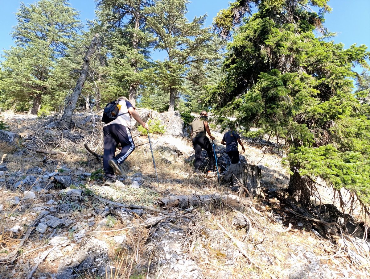 mehmetsezer01's tweet photo. #7Yıl 2541. Gün 

"Gönül kendine benzeyen gönüle akar."
 
SağlıklıYaşamYürüyüşü'müzün #kesintisiz 2541.gününü #Adana #Pozantı #Ulukışla #HorozKöyü #Karayalım eteklerinde yürüdük.
#FreePalestine #Şehit #IsmailHaniye
#Gezi #Yürüyüş #Sağlık
#pazar https://t.co/2yU16VdmxU