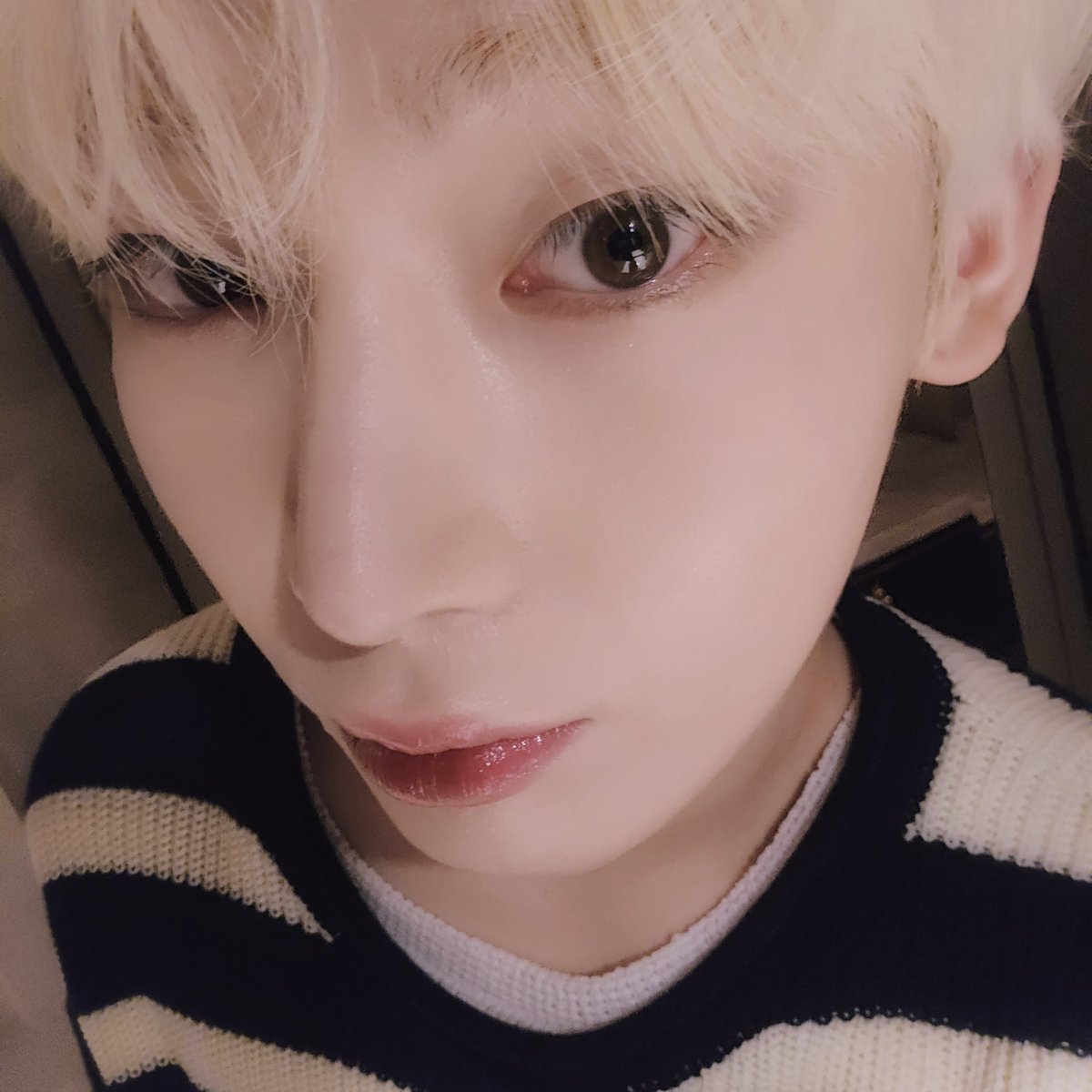 ENHYPEN WEVERSE tweet media