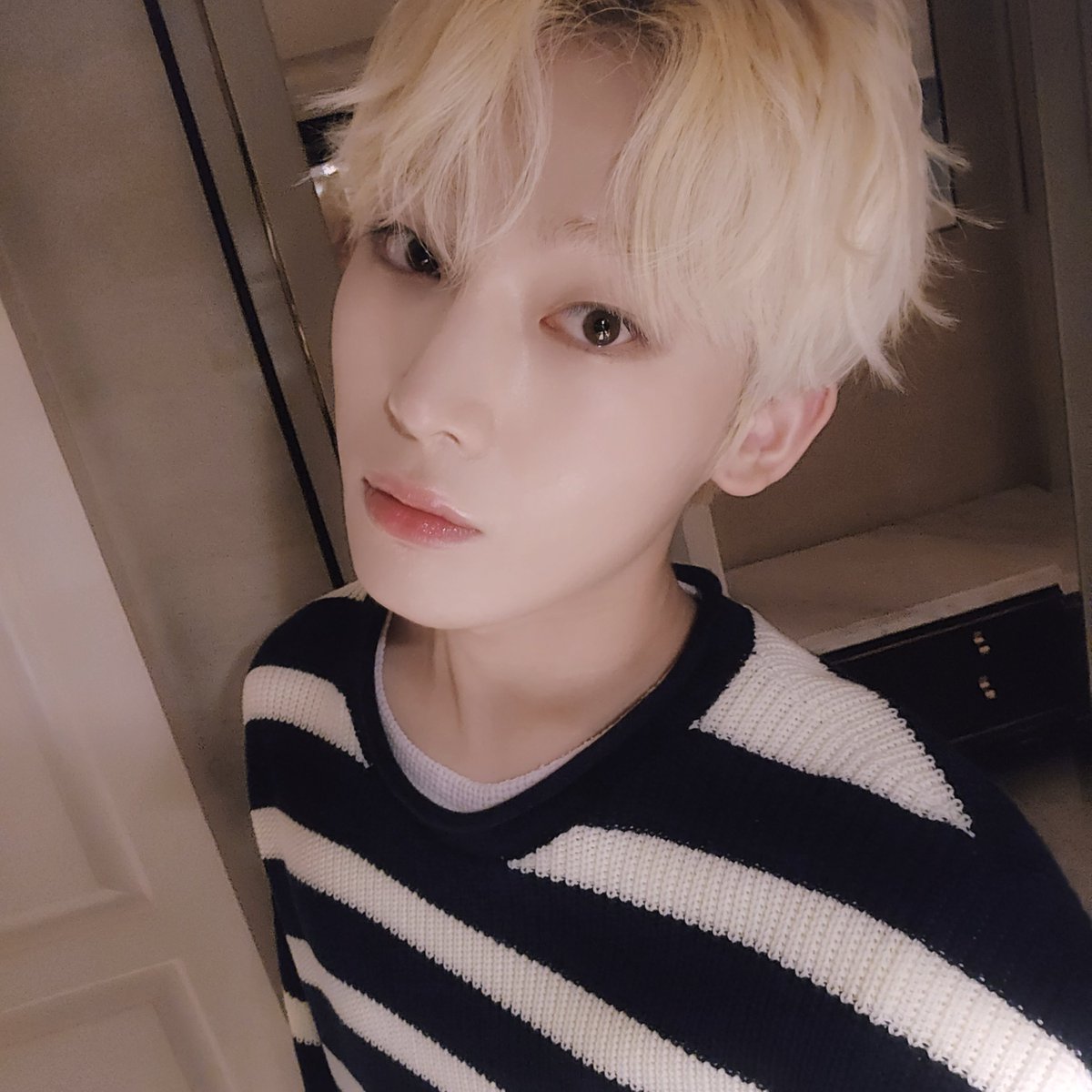 ENHYPEN WEVERSE tweet media