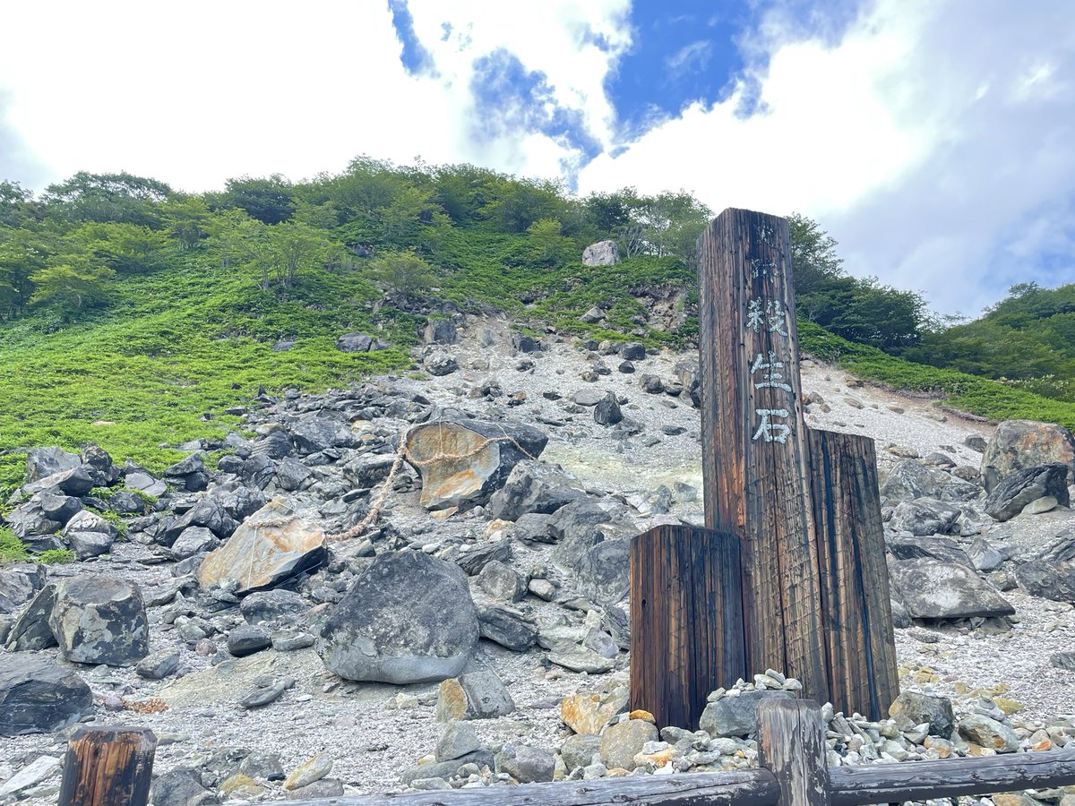 yuzuru86's tweet photo. 夏のアクティビティ大好きマン https://t.co/81EjOwqZD5