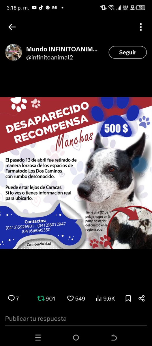 Rescata (@carmenzr04) on Twitter photo 