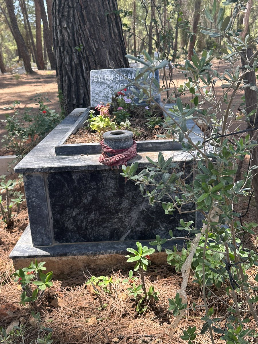 “Gelsene dedi bana
Kalsana dedi bana
Gülsene dedi bana
Ölsene dedi bana
Geldim
Kaldım
Güldüm
Öldüm…”
#Eylemşafakaydınyetiş