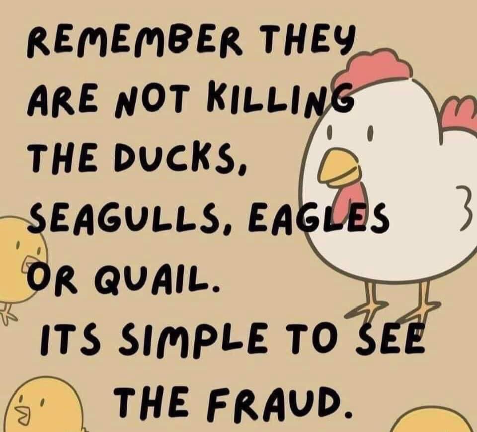 OlooneyJohn's tweet photo. Bird Flu
i told you all 6 months ago they were flying the Bird Flu vaccines into the UK as commercial pilots rang me to tell they were flying them into the UK personally.
They were made outside the UK 

Think sensibly.
If there really was bird flu they would destroy ALL birds.
But they don't.
Its only your FOOD they destroy and they tell you they do it only "to keep you safe"
Do you see through the bullshit yet ?