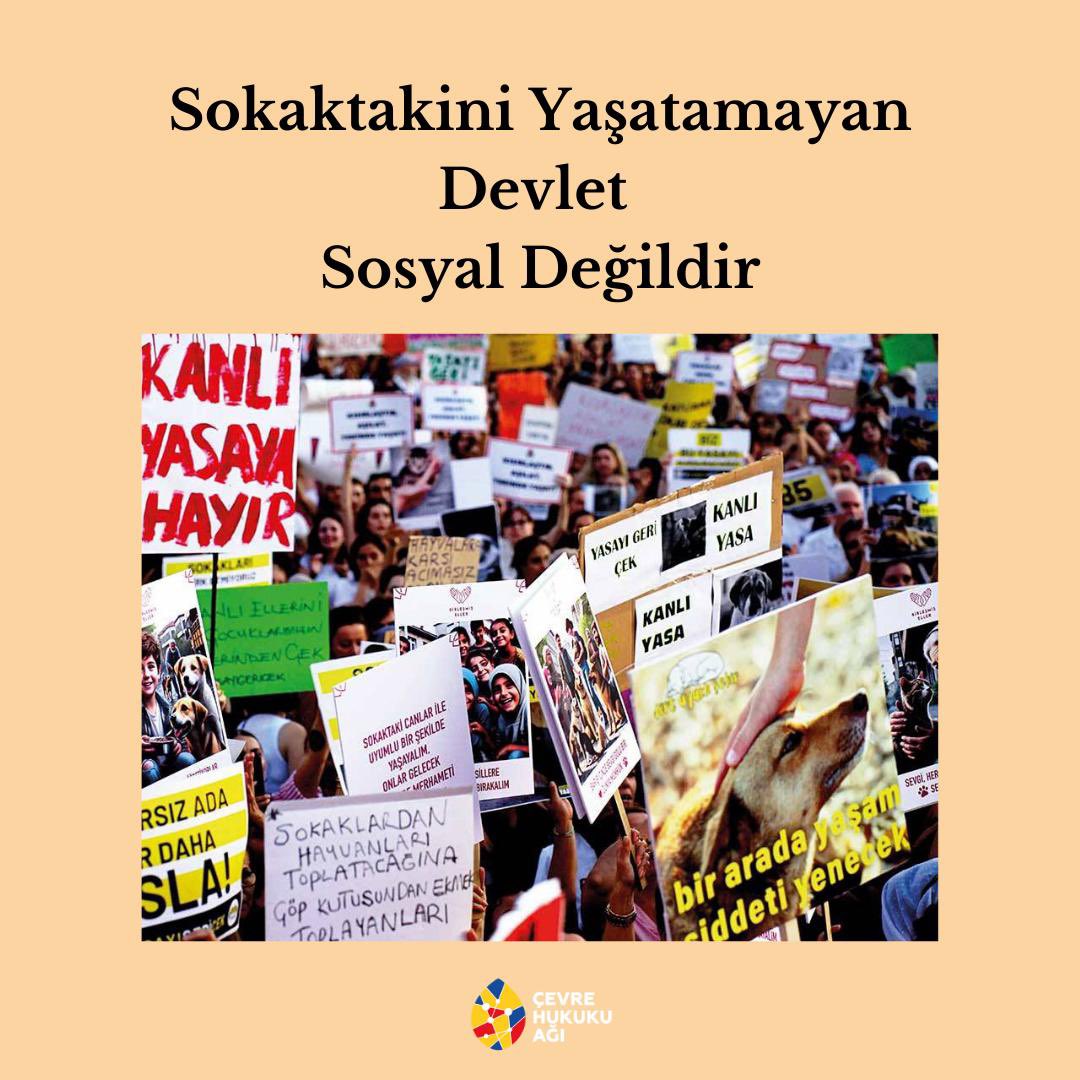 Cevreagi's tweet image. Araştırma Görevlisi Ilgın Özkaya Özlüer’in Bir Gün Pazar Gazetesinde kaleme aldığı “Sokaktakini Yaşatamayan Devlet Sosyal Değildir” başlıklı yazıyı sizlerle paylaşıyoruz.
🐶🐱
Yazının tamamı için bio’daki linke tıklayabilirsiniz. 
instagram.com/p/C-P1Wy1ITey/…