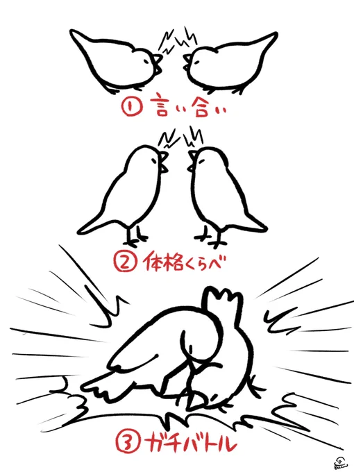 文鳥 バトルの手順 