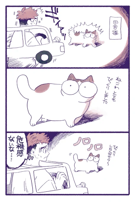 田舎のにゃん、8割くらい車が来ても歩いてる。 