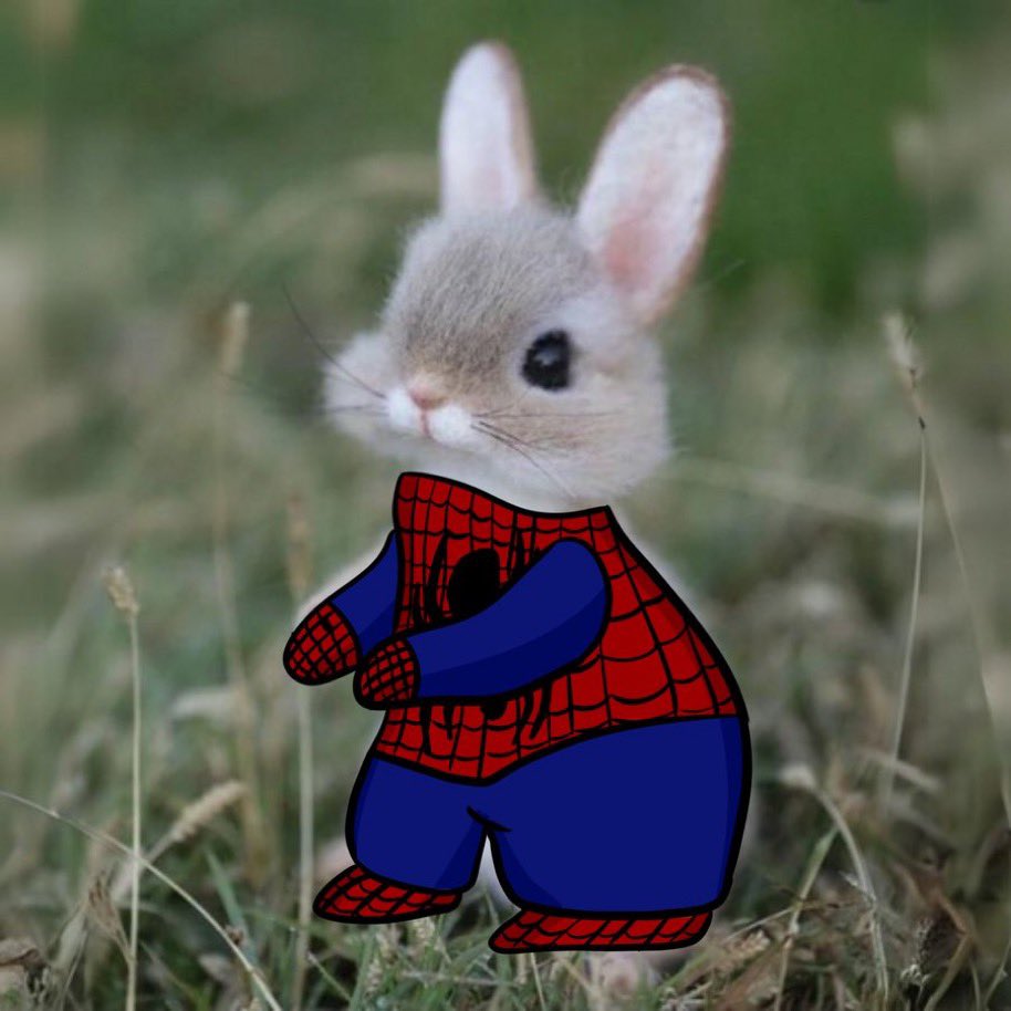 TrueDegenJeet's tweet photo. @wallstreetbets $BUNNE is the play of this Solana bull run 

Reasons to buy ✅

1. Cute bunne memes
2. Based cto &amp; community
3. Dex trending #4
4. Did somebody say Gold tick on X?

Ca 👇

2DWYC19ULy5NRBv69NFNtukz1fztrEASzRye9qECpump https://t.co/pDxcAp5SY5