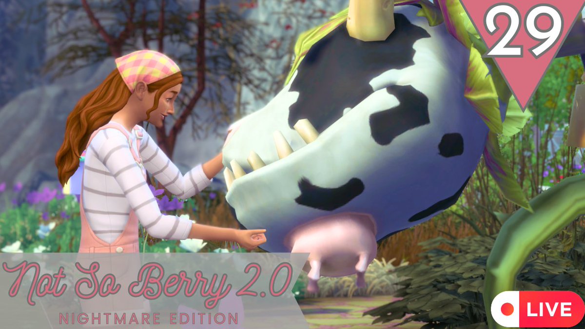 the_true_javen's tweet photo. 🔴Live in 5 minutes, continuing the NSB 2.0 Nightmare Edition (short lifespan)! {Pink}
Will we find the last plant for the collection?!
YouTube: https://t.co/zu6WNwAvwp
Twitch: https://t.co/laGFvfV8QB
#thesims4 #thesims #nsb2 #notsoberry https://t.co/23SWFZPLnL