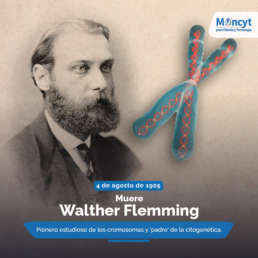 Gabriela Jiménez tweet media