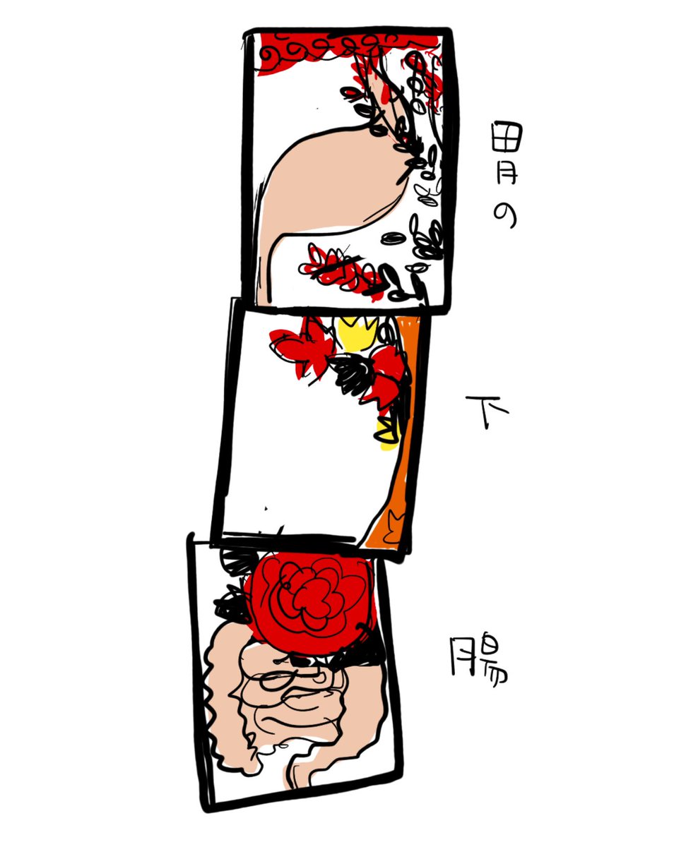 aoki818's tweet photo. 胃の下腸 https://t.co/e7uOCpoX2y