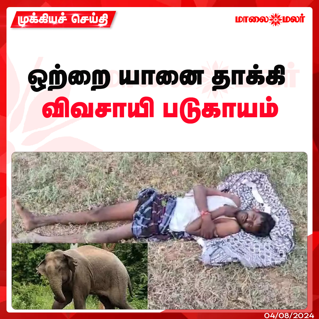 maalaimalar's tweet photo. மேலும் படிக்க :

https://t.co/8gunLrG2dt

#elephant #farmerinjured #singleelephant #Tamilnews #MMNews #Maalaimalar https://t.co/59Ct8mjvxg