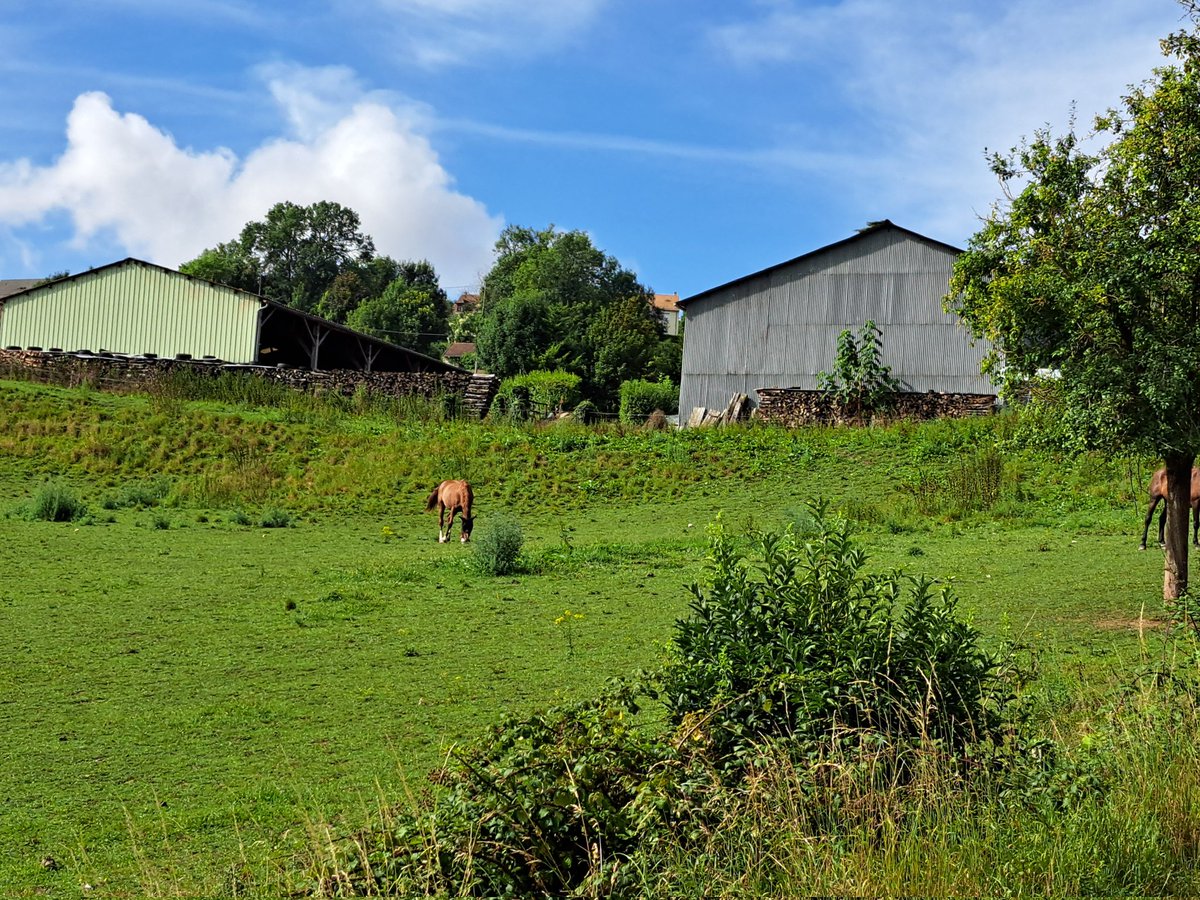 ch_hasenfratz's tweet photo. #BaladeSympa ce matin à #Guerville pour s'aérer l'esprit avant une semaine qui sera encore dure...
#paysage #landscape #TerreDeSeine https://t.co/UWlCO2WTJR