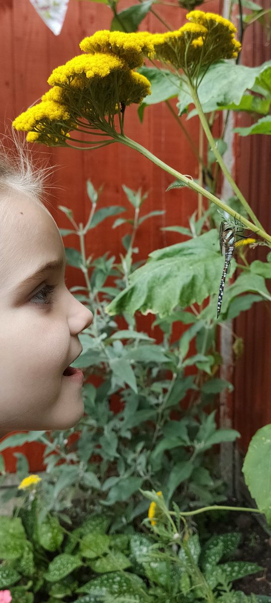 Brendan Collis tweet media