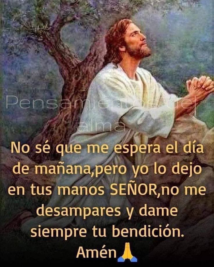 jalisco52's tweet photo. Dios Nuestro Señor dejamos todo en tus manos, no nos desampares y dános tu bendición 🙏 Buenos días https://t.co/uPX5XgrR3x