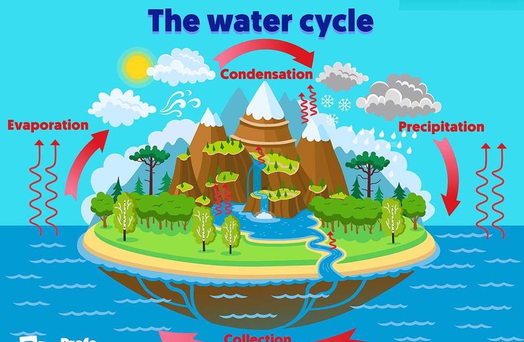 Water_Sei's tweet photo. $WATER x $SEI 🌊

Are you ready for the launch?

Today in @seiyandotfun https://t.co/inKW6RLgKz