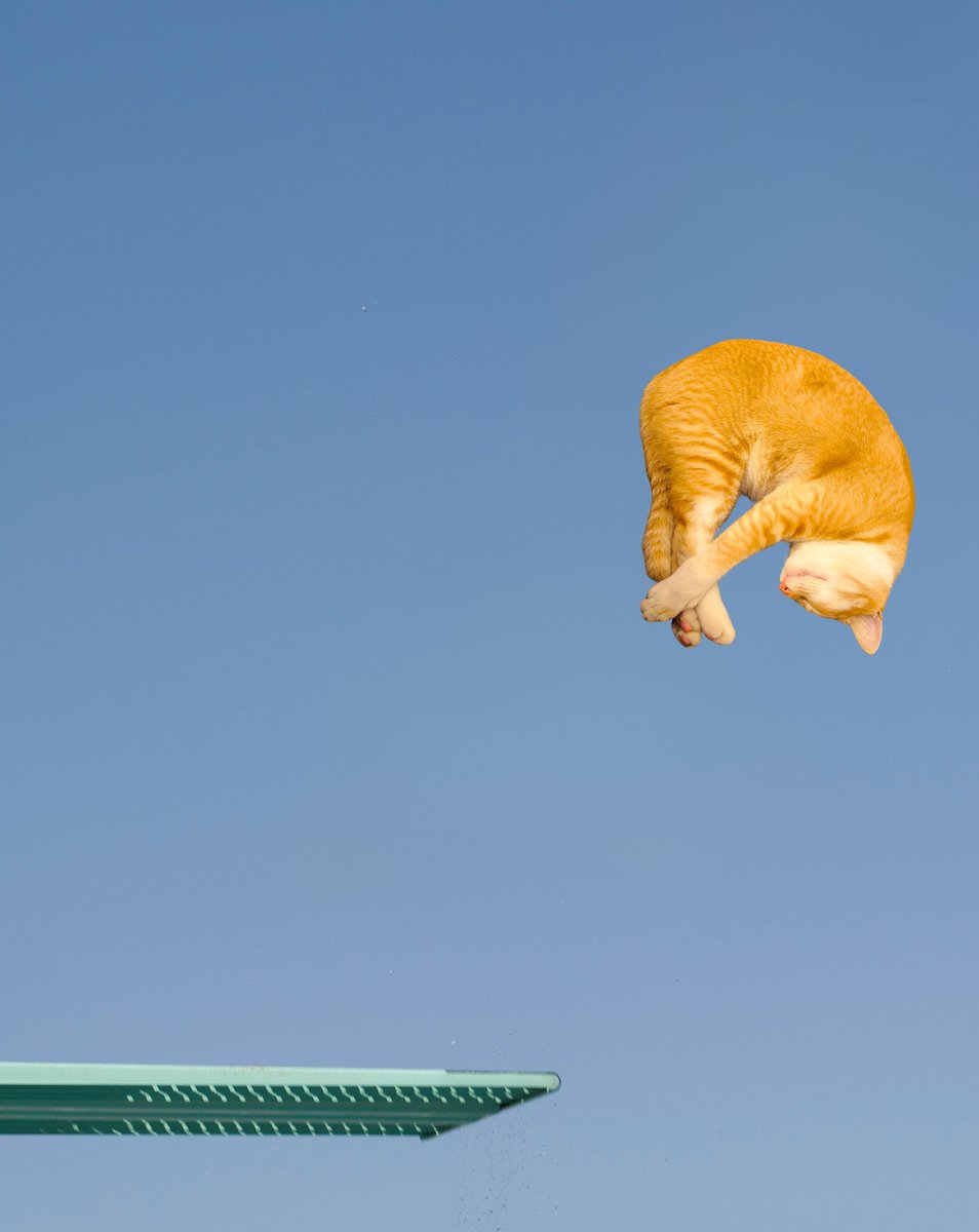 MyCreamCreamCat's tweet photo. https://t.co/DmmCWBeKDv