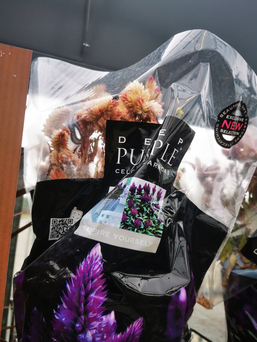 Absolutely disgusted when I went to buy some plants for the garden at Asda Leith to be confronted with this , zero care taken , weeds growing out of the pots , plants dead, lost at least £100 quid from me today shocking .