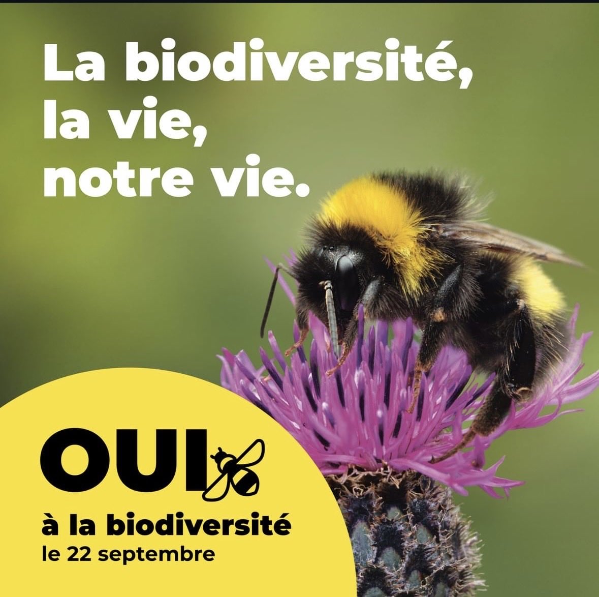 Christian Brunier tweet media