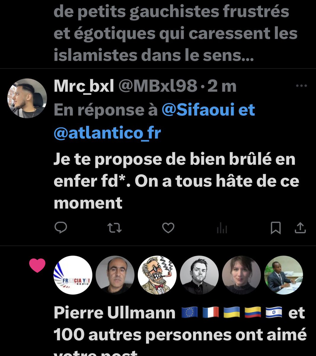 Face au déferlement de haine qui me vise, face aux menaces de mort, face à cette campagne de harcèlement (une petite illustration ci-dessous), je tiens à dire ma détermination à ne pas me laisser intimider même si la volonté de ces haineux vise à me faire taire et à me diaboliser