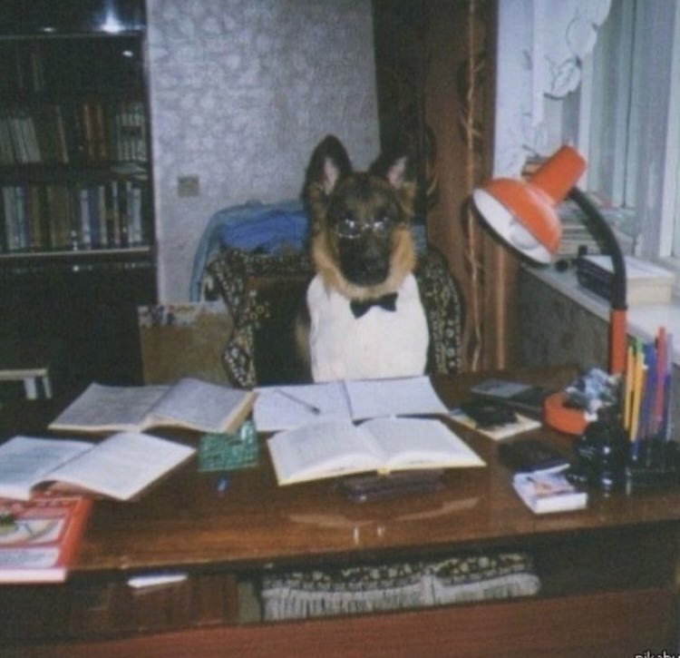 #btc funny business could end between 40-47k but you don't have it from me. 
Let's focus on 54k and 58k.