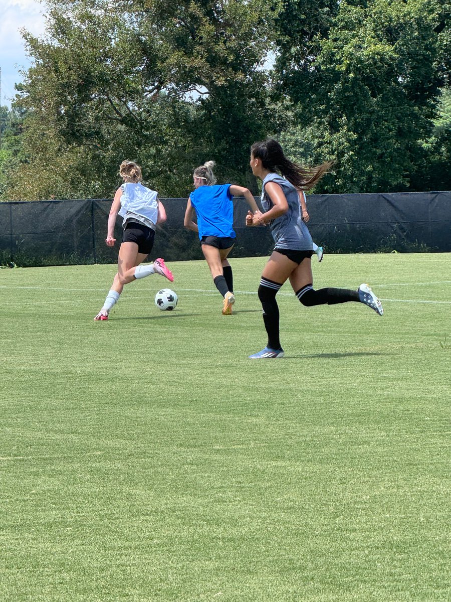 Maci Martin tweet media