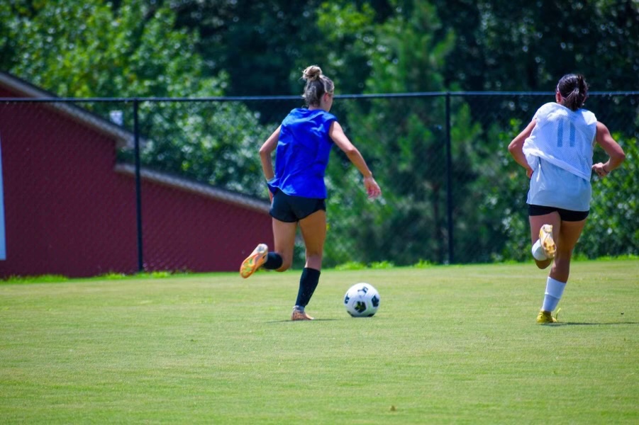 Maci Martin tweet media