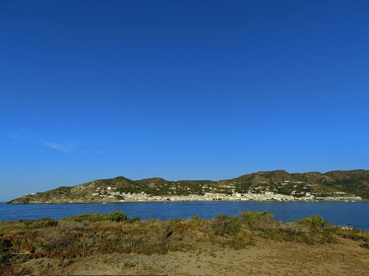 Pau Pujol Vilà tweet media