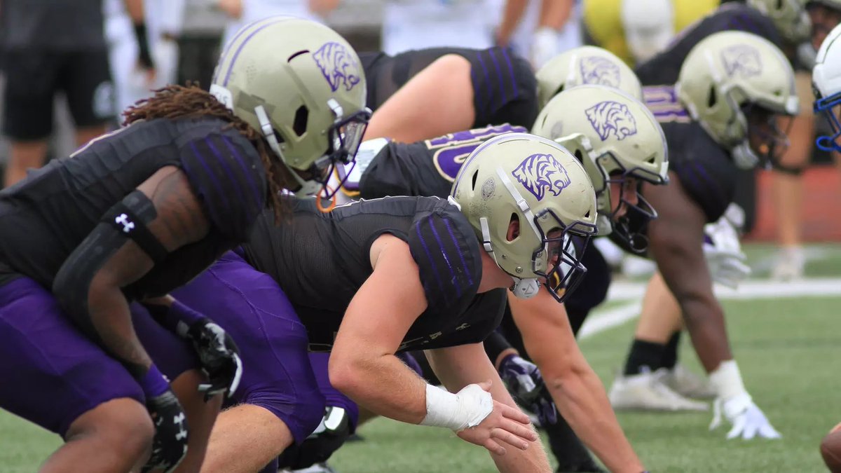 Cole Sieveking tweet media