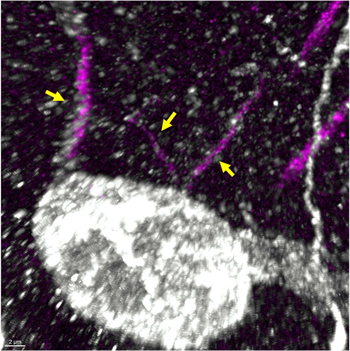 Аnа Dorrego Rivas tweet media
