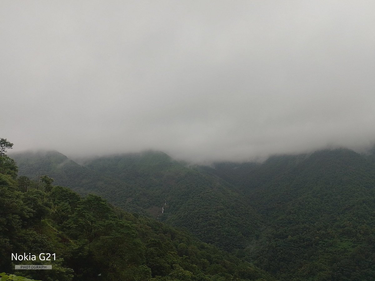 KitchenVincent's tweet image. @KitchenVincent