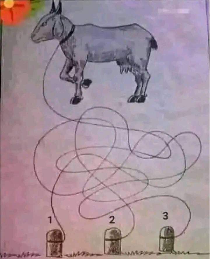 Toussaint Tshilombo Send tweet media