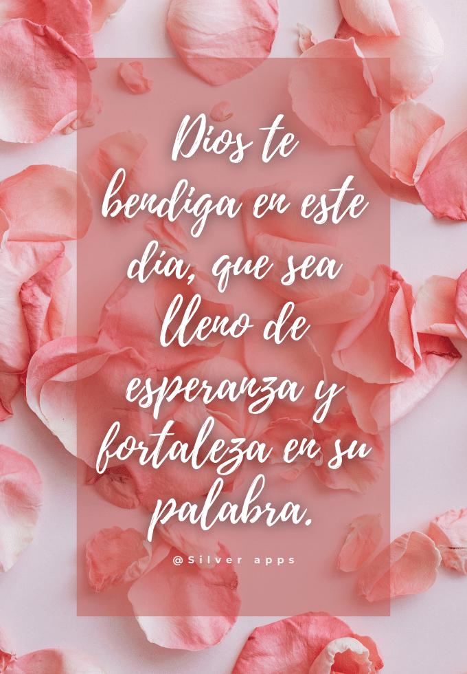 Buenas tardes , próspero  Domingo con las Bendiciones de Dios y San Miguel Alcangel 🙏🏻🌞☕🤗😘♥️🌹🥀🌺🌷🪷🌸🏵️🪻🌻🌼🌿💐
