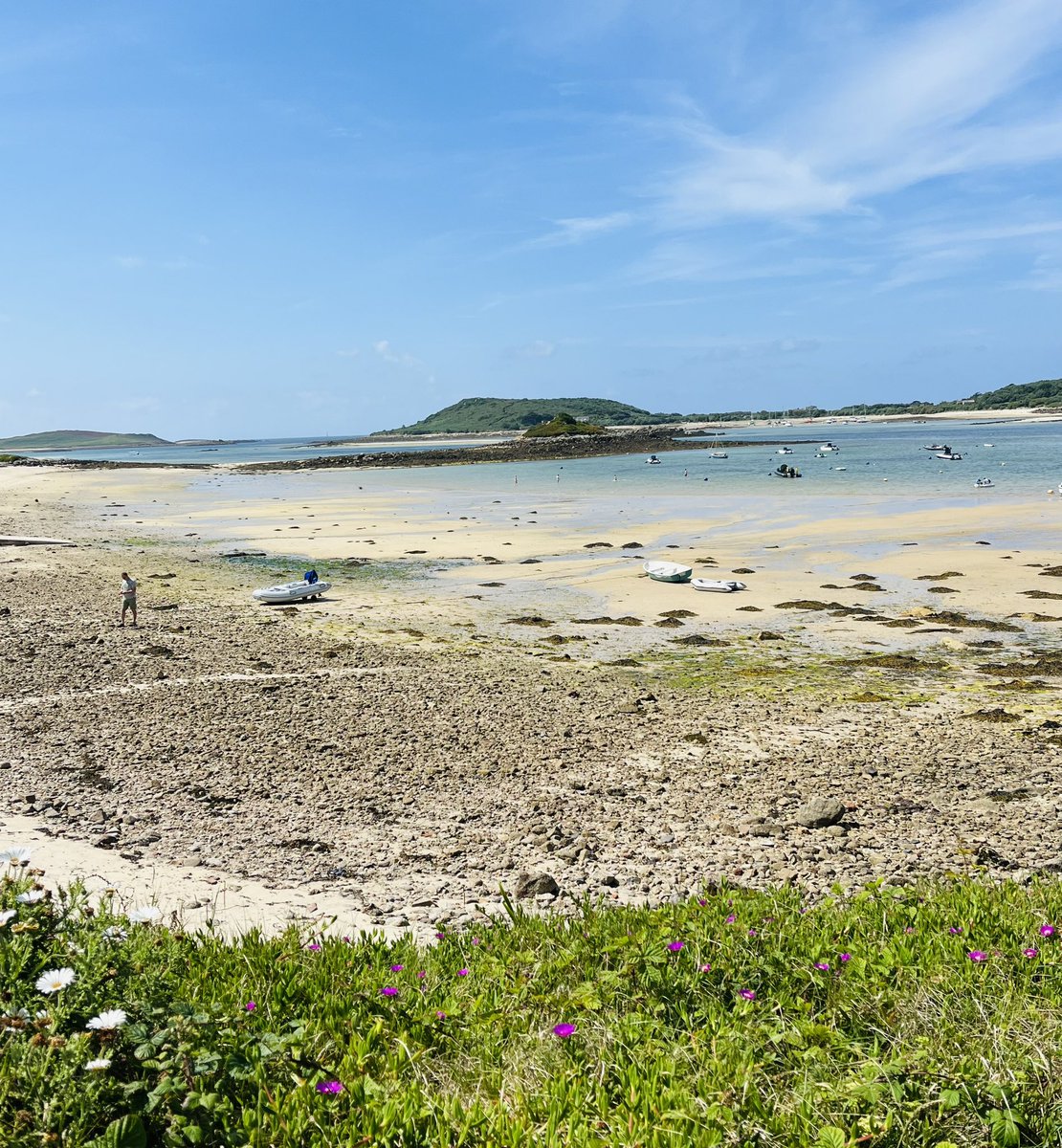 Rebecca Baldwin tweet media