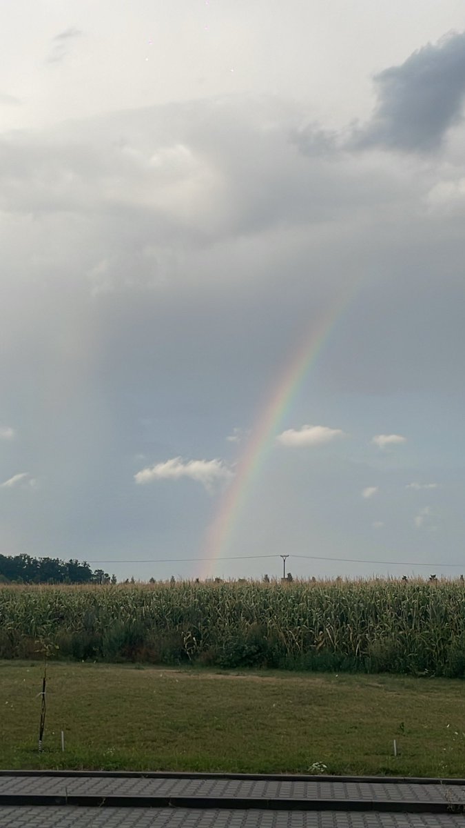 PodobnyBohu's tweet photo. 🥰🌈 https://t.co/i2Tixw1i8J