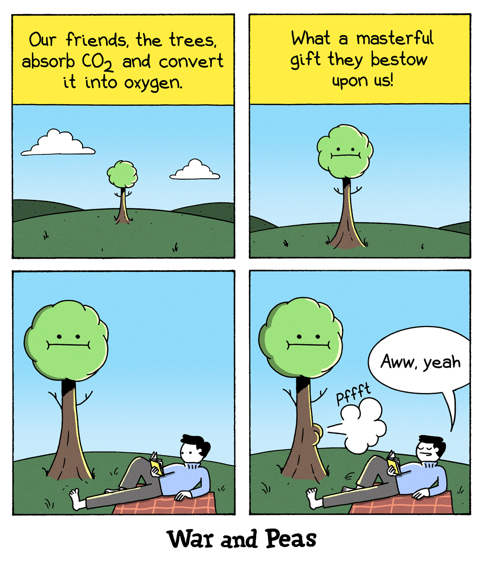 Photosynthesis ๐ฑ