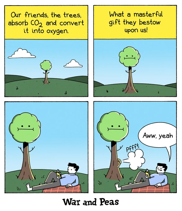 Photosynthesis 🌱 