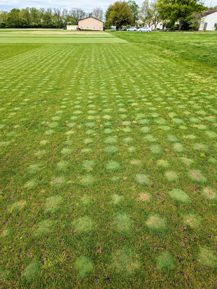 Rutgers bentgrass breeding.
Hundreds of selections are evaluated each year attempting to identify the very few that will make up the next generation. Looking for enhanced disease resistance, texture, density, spreading, traffic tolerance &amp; more. 
Dr. Bonos and staff are special.