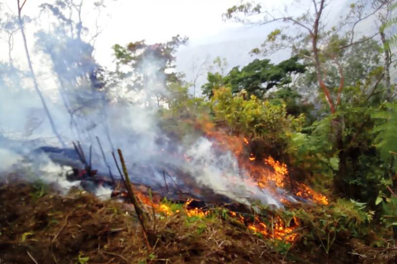 ChristopheUwiz's tweet photo. Uko inzego z’ibanze zifatanya n’abaturage ndetse n’ubuyobozi bwa @NyungwePark mu kurwanyamo inkongi ndetse mu nkengero zayo.

Abaturage kandi barakangurirwa gukomeza kugira uruhare mu gusigasira iyi Parike y’igihugu ya Nyungwe,ikaba n’umurage w’isi.

Link: https://t.co/MKAU3vA2Y7 https://t.co/egMjsGdUUf