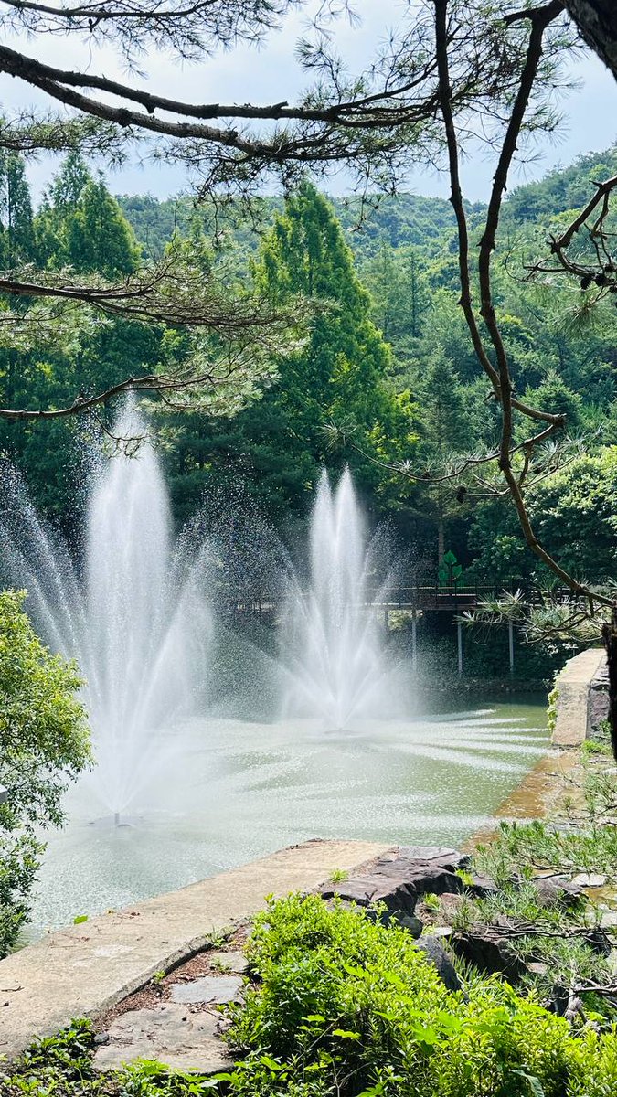 요한계시록이 중요한 이유는?
가감하면 천국을 갈수 없기 때문...
지금 세계는 요한계시록 열풍

✅️ 대륙별 신천지 말씀대성회
youtube.com/live/6IDamYZN4…

#신천지_예수교회 #2024대륙별 #신천지말씀대성회 #이만희_총회장님 #국제행사 #Europe #유럽 #요한계시록 #계시말씀