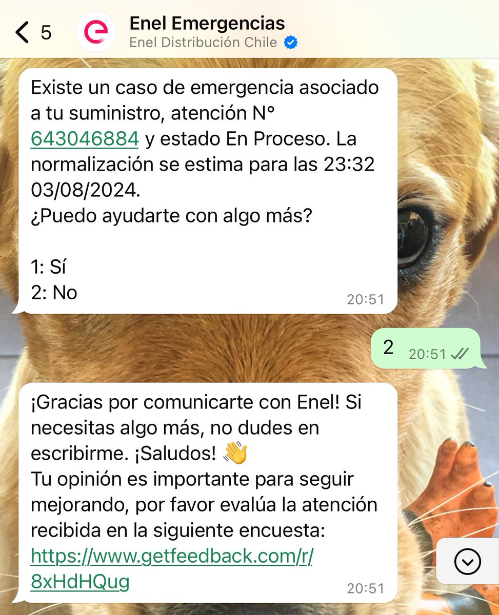 Y ya son las 9:33 del 4 de agosto y seguimos sin electricidad… <a href="/Enel_Informa_CL/">@Enel_Informa_CL</a>