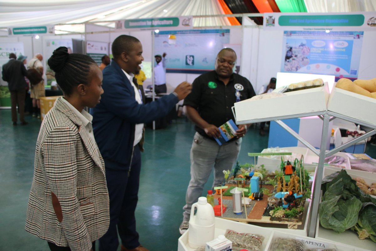 FAOZambia's tweet photo. 🌿It's Agriculture Show time! Visit @FAOZambia
Stand at the Agriculture &amp; Commercial #Show in #Lusaka to explore how we're supporting #Zambia in driving #genderresponsive #greeninnovations, #digitalization, #sustainable &amp; #efficientmarkets for transformed agrifood systems. https://t.co/5wE768ZZ5R