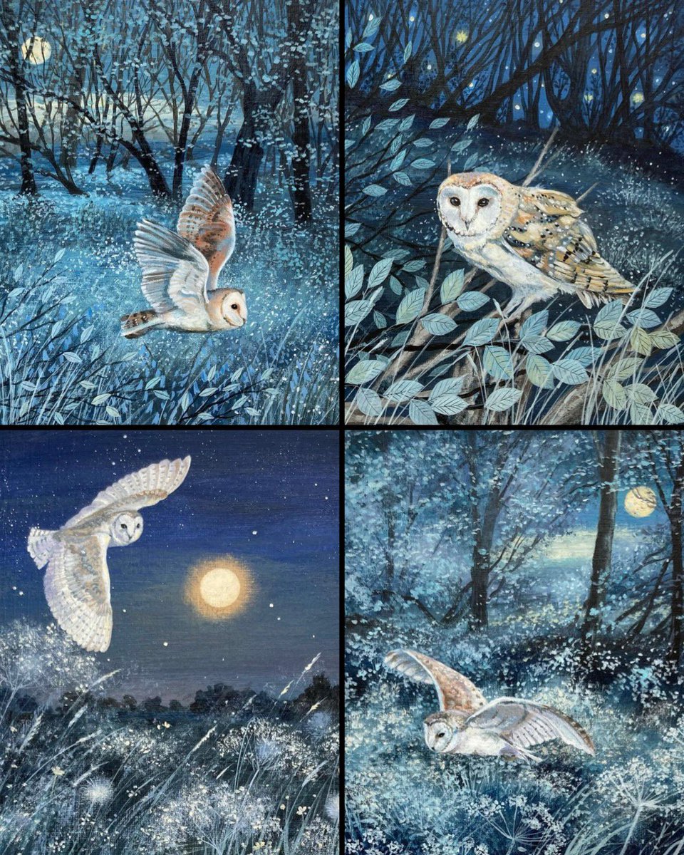 The mysterious owls of Lucy Grossmith 🦉