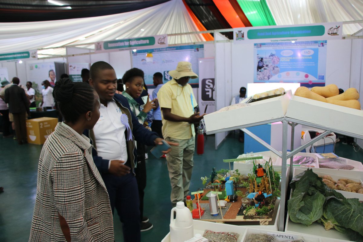 FAOZambia's tweet photo. 🌿It's Agriculture Show time! Visit @FAOZambia
Stand at the Agriculture &amp; Commercial #Show in #Lusaka to explore how we're supporting #Zambia in driving #genderresponsive #greeninnovations, #digitalization, #sustainable &amp; #efficientmarkets for transformed agrifood systems. https://t.co/5wE768ZZ5R